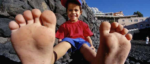 Data Recovery, Hard Disk Data Recovery Card, HDD Recovery Card, Data Recovery Card Solution